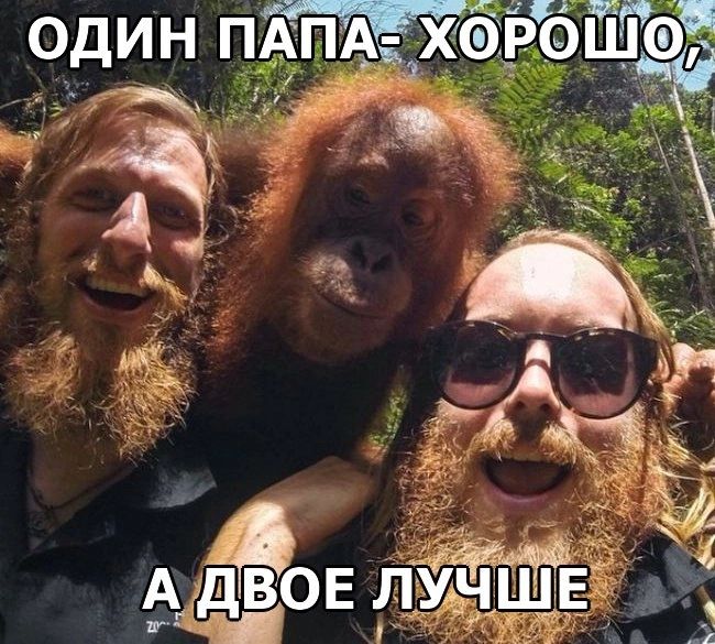ОДИН ПАПАЕ ХОРОШ _