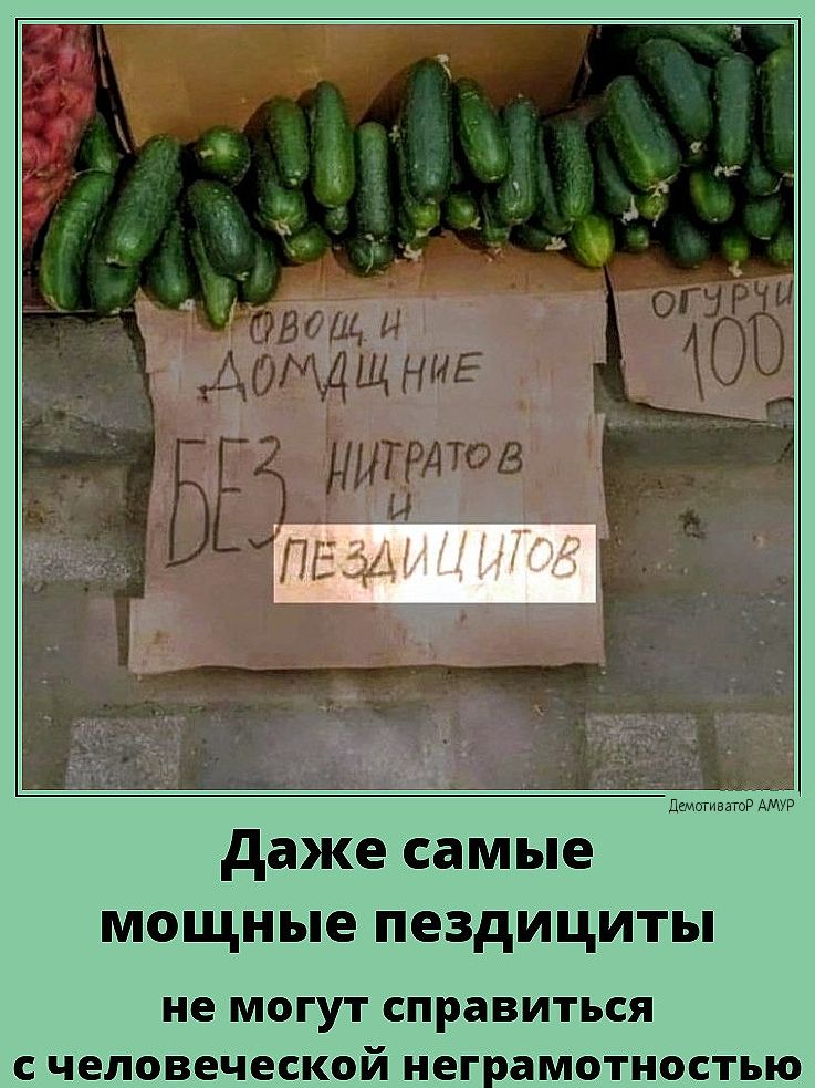 ПВЕ Даже самые мощные пездициты не могут справиться счеловеческой неграмотностью