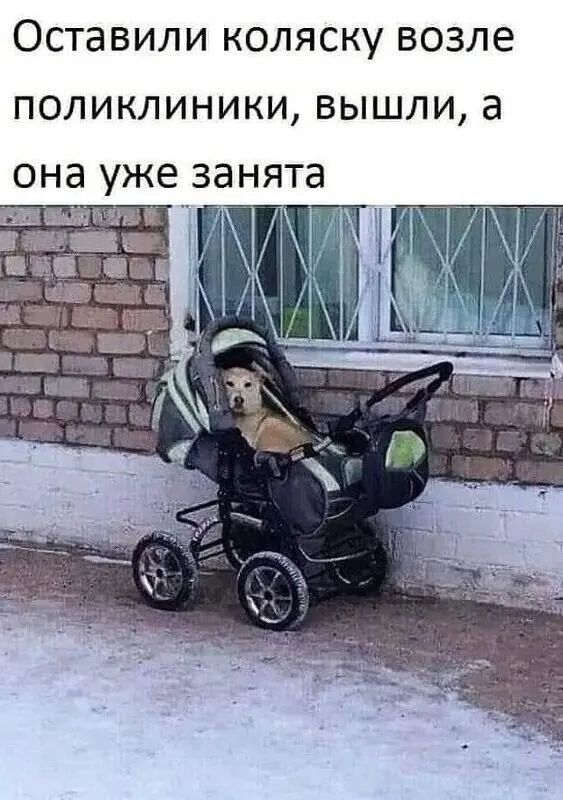Оставили коляску возле поликлиники вышли а