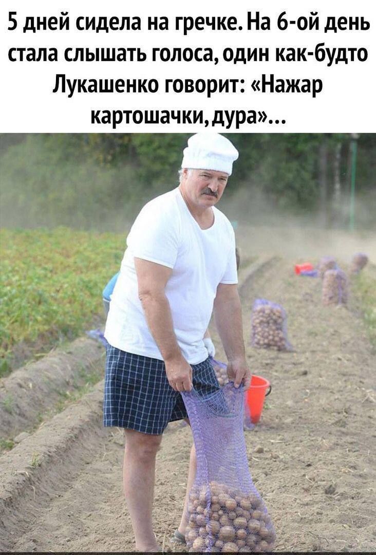 5 дней сидела на гречке На 6 ой день стала слышать голоса один как будто Лукашенко говорит Нажар картошачки дура