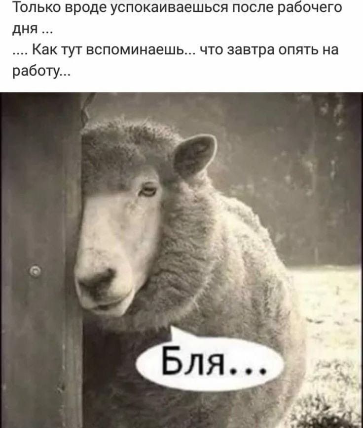 Только вроде успокаиваешься после рабоче дня Как тут вспоминаешь что завтра опять на работу