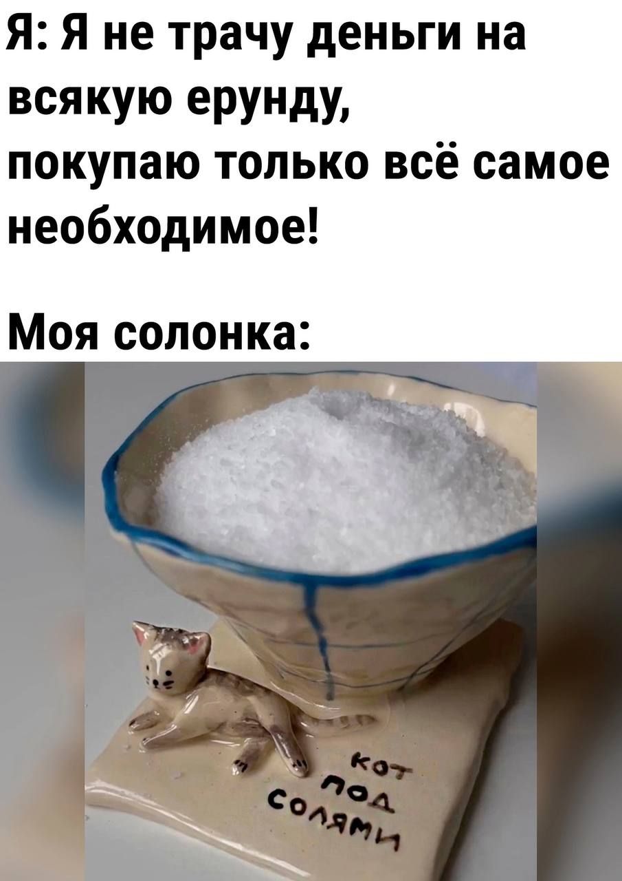 Я Я не трачу деньги на всякую ерунду покупаю только всё самое необходимое Моя солонка