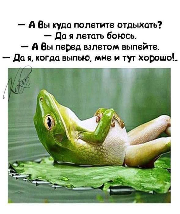 А Вы куда полетите отдыхать Да я летать боюсь А Вы перед взлетом выпейте Да я когда выпью мне и тут хороше