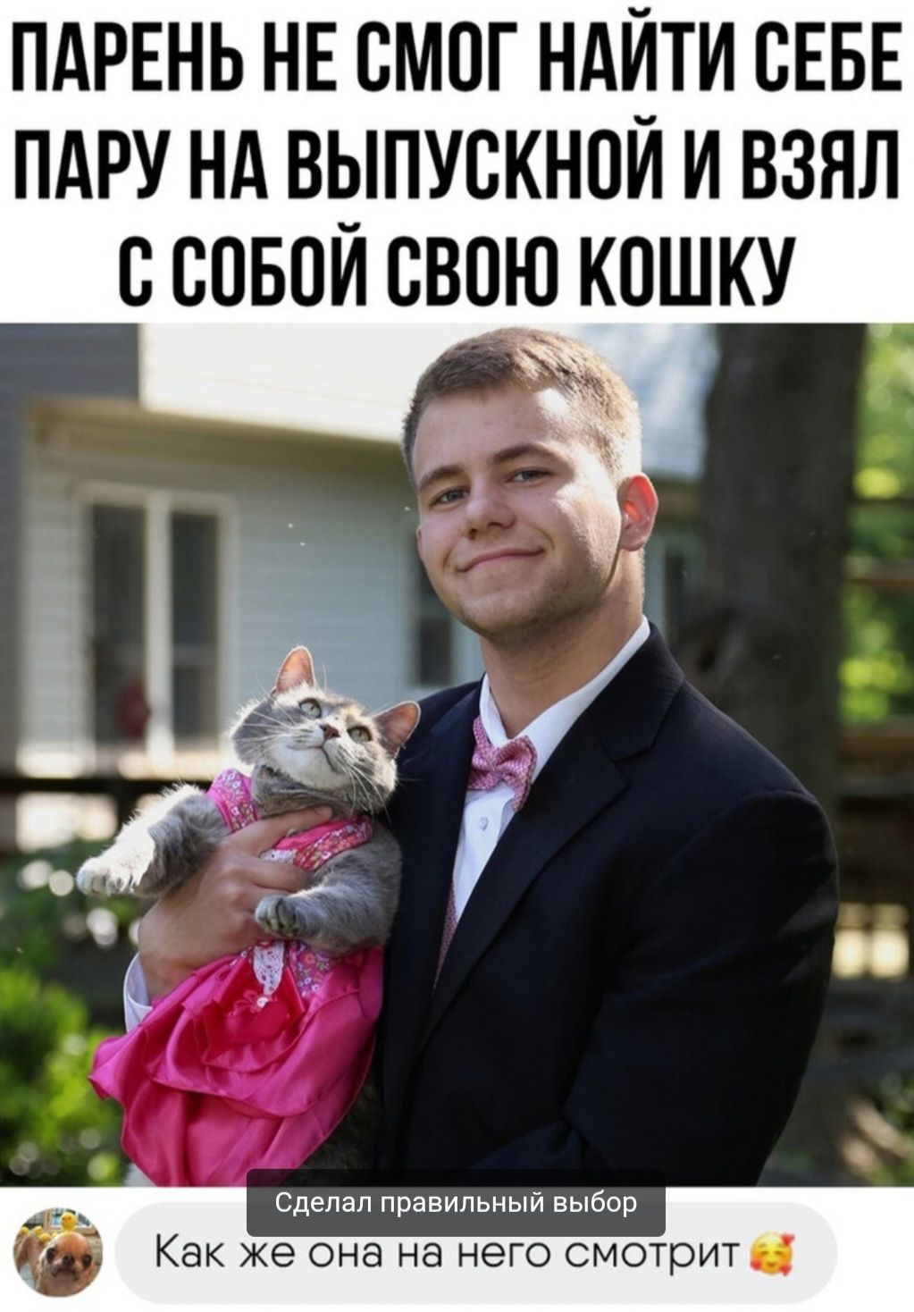 ПАРЕНЬ НЕ СМОГ НАЙ_ТИ СЕБЕ ПАРУ НА ВЫПУСКНОЙ И ВЗЯЛ С СОБОЙ СВОЮ КОШКУ Сделал правильный выбор Ё Как же она на него смотрит