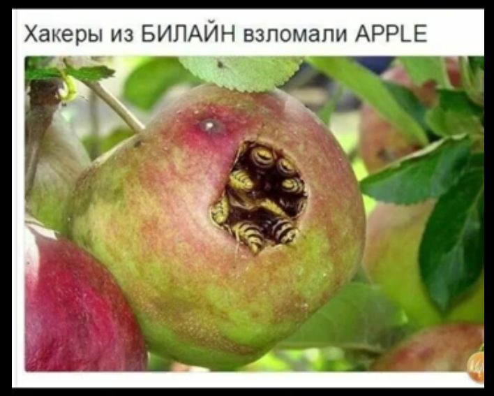Хакеры из БИЛАЙН взломали АРРЕ