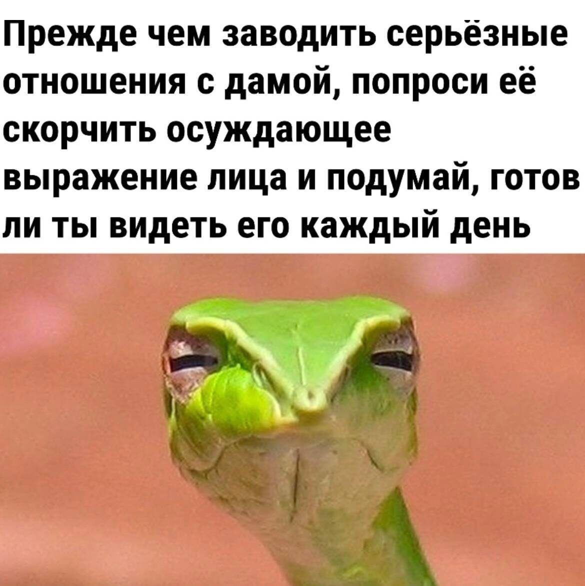 Прежде чем заводить серьёзные отношения с дамой попроси её скорчить осуждающее выражение лица и подумай готов ли ты видеть его каждый день ЧА ы 3