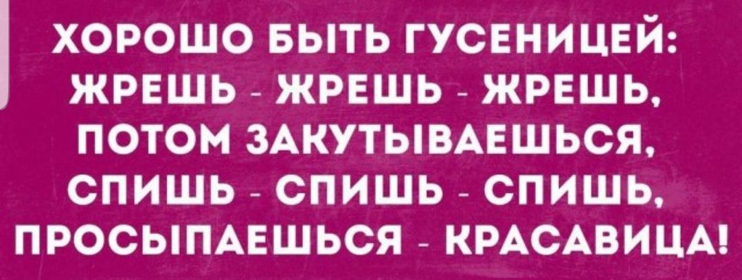 ХОРОШО БЫТЬ ГУСЕНИЦЕЙ ЖРЕШЬ ЖРЕШЬ ЖРЕШЬ Ц1едке 7 д1 7 ХУ Тез В спишь спишь спишь ПРОСЫПАЕШЬСЯ КРАСАВИЦА