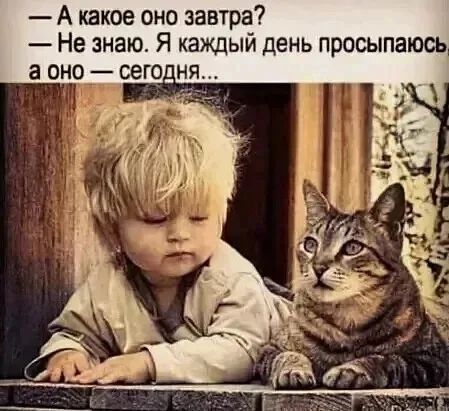 А какое оно завтра Не знаю Я каждый день просыпаюсь а оно сегодня