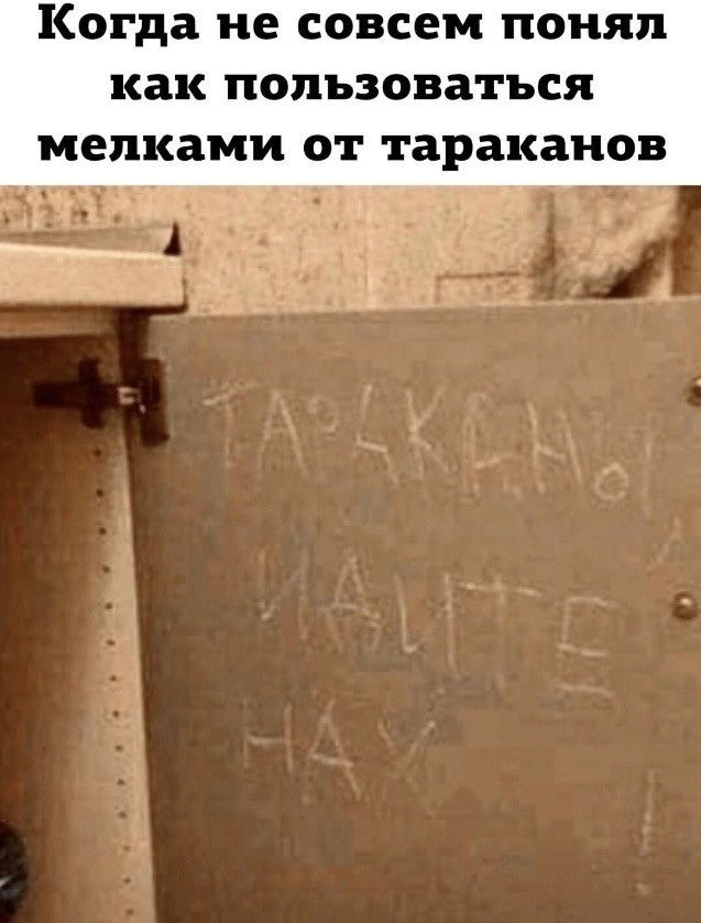Когда не совсем понял как пользоваться мелками от тараканов ренодао А ЬЫЕЕЫ оВАЛЬ с