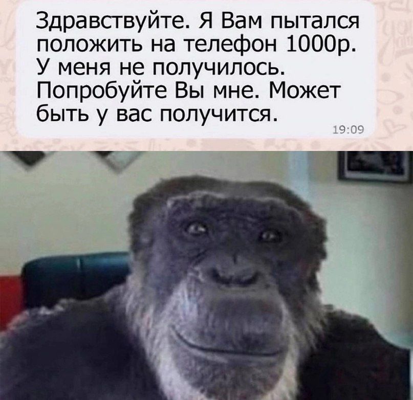 Здравствуйте Я Вам пытался положить на телефон 1000р У меня не получилось Попробуйте Вы мне Может быть у вас получится р ЧЕ