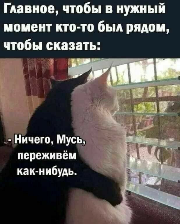 Главное чтобы в нужный момент кто то был рядом чтобы сказать Ничего Мусь переживём как нибудь