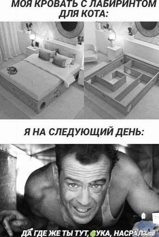 МОЯ КРОВАТЬ С ЛАБИРИНТОМ ДЛЯ КОТА Я НА СЛЕДУЮЩИЙ ДЕНЬ