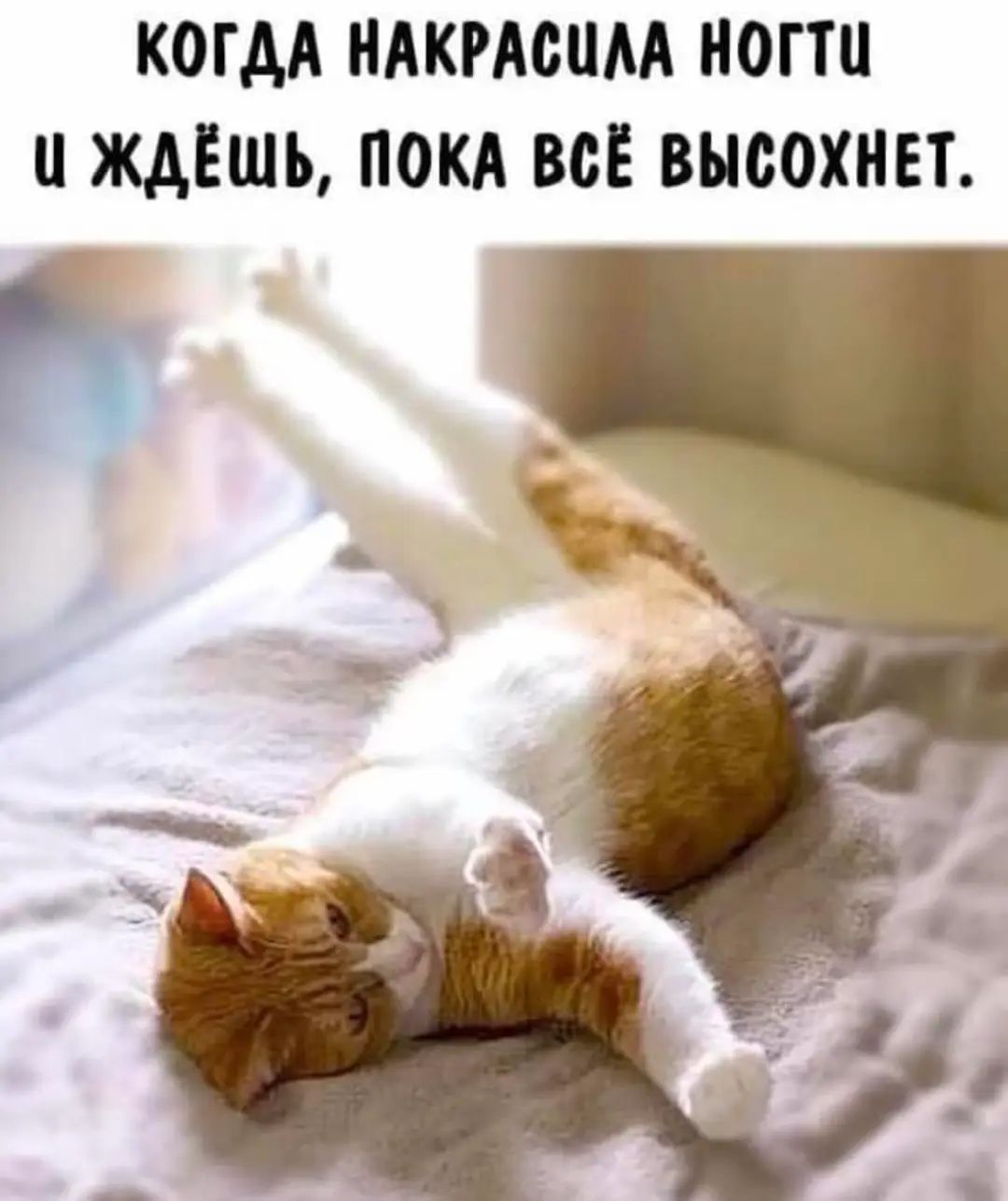 КОГДА НАКРАСЦЛА НОГТЦ Ч ЖДЁШЬ ПОКА ВСЁ ВЫСОХНЕТ