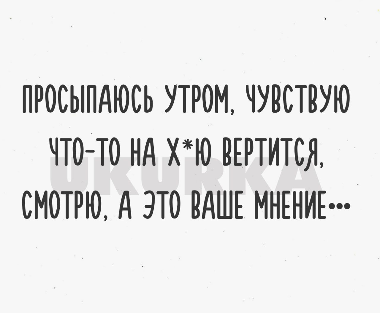 ПРОСЫПАЮСЬ УТРОМ ЧУВСТВУЮ ЧТО ТО НА ХЮ ВЕРТИТСЯ СМОТРЮ А ЭТО ВАШЕ МНЕНИЕ