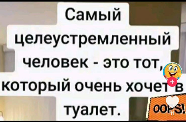 целеустремленный Г человек это тот са который очень хочетВ р туалет о0н5