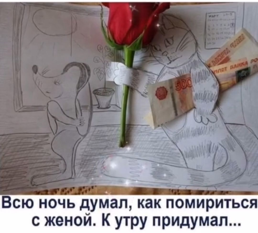 Всю ночь думал как пмириться с женой К утру придумал
