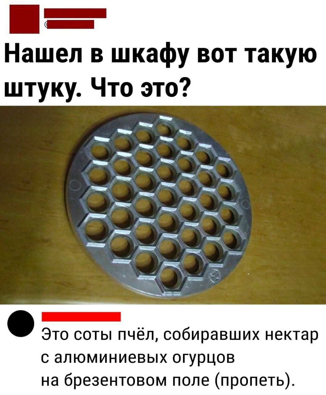 _ Нашел в шкафу вот такую штуку Что это п Это соты пчёл собиравших нектар с алюминиевых огурцов на брезентовом поле пропеть