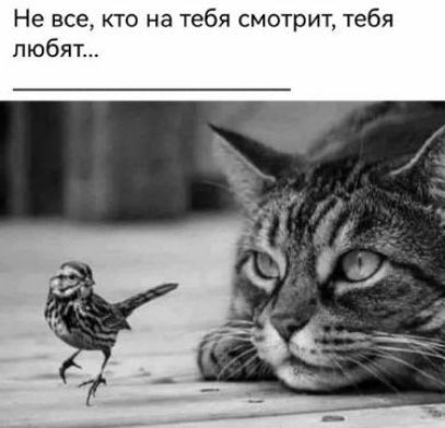 Не все кто на тебя смотрит тебя любят