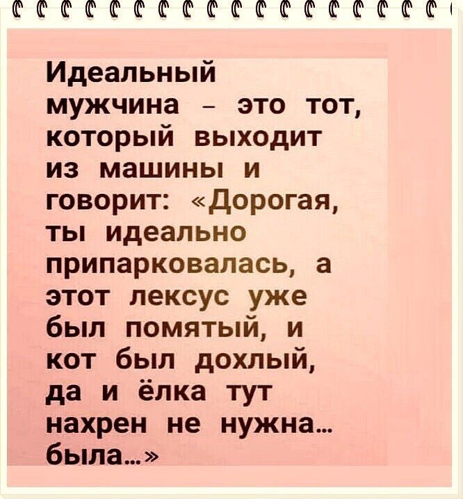 СССССССССССССКСКСКЕКС Идеальный мужчина это тот который выходит из машины и говорит Дорогая ты идеально припарковалась а этот лексус уже был помятый и кот был дохлый да и ёлка тут нахрен не нужна была