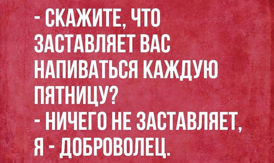 СКАЖИТЕ ЧТО ЗАСТАВЛЯЕТ ВАС НАПИВАТЬСЯ КАЖДУЮ ПЯТНИЦУ НИЧЕГО НЕ ЗАСТАВЛЯЕТ Я ДОБРОВОЛЕЦ