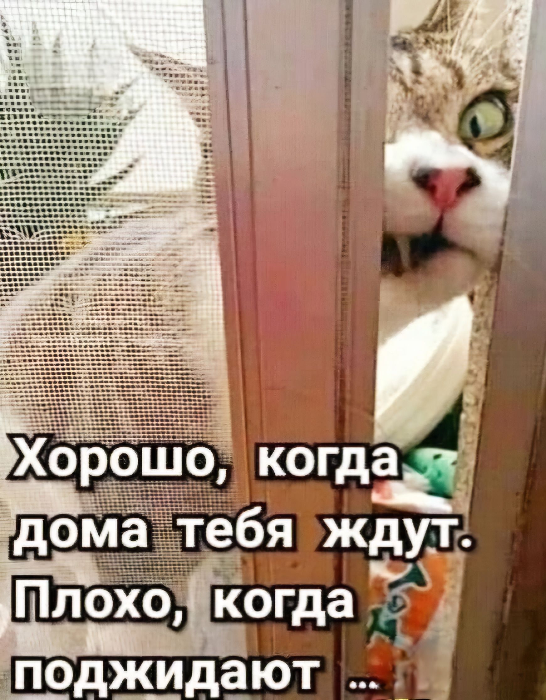1 Х _ К когда 5 ЧО