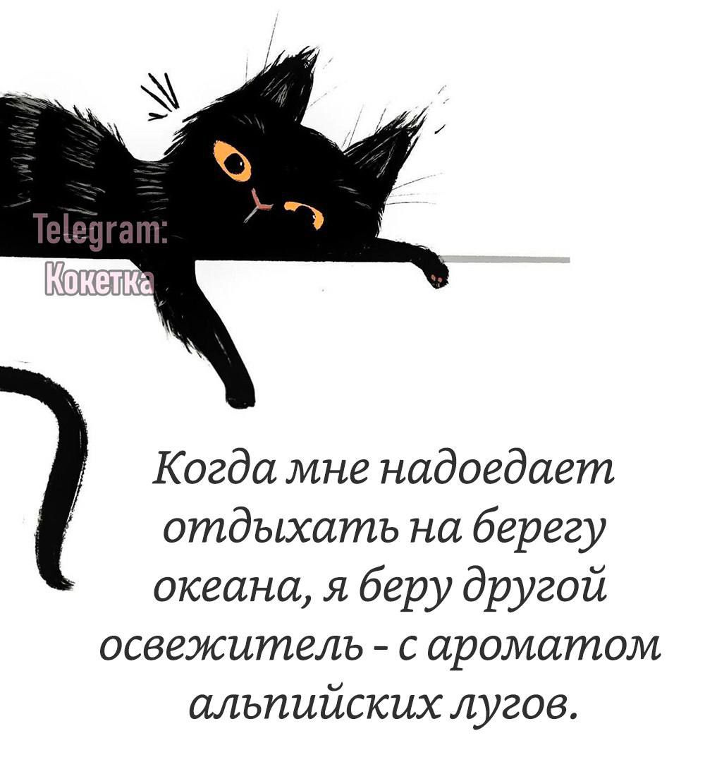 Когда мне надоедает отдыхать на берегу океана я беру другой освежитель сароматом альпийских лугов
