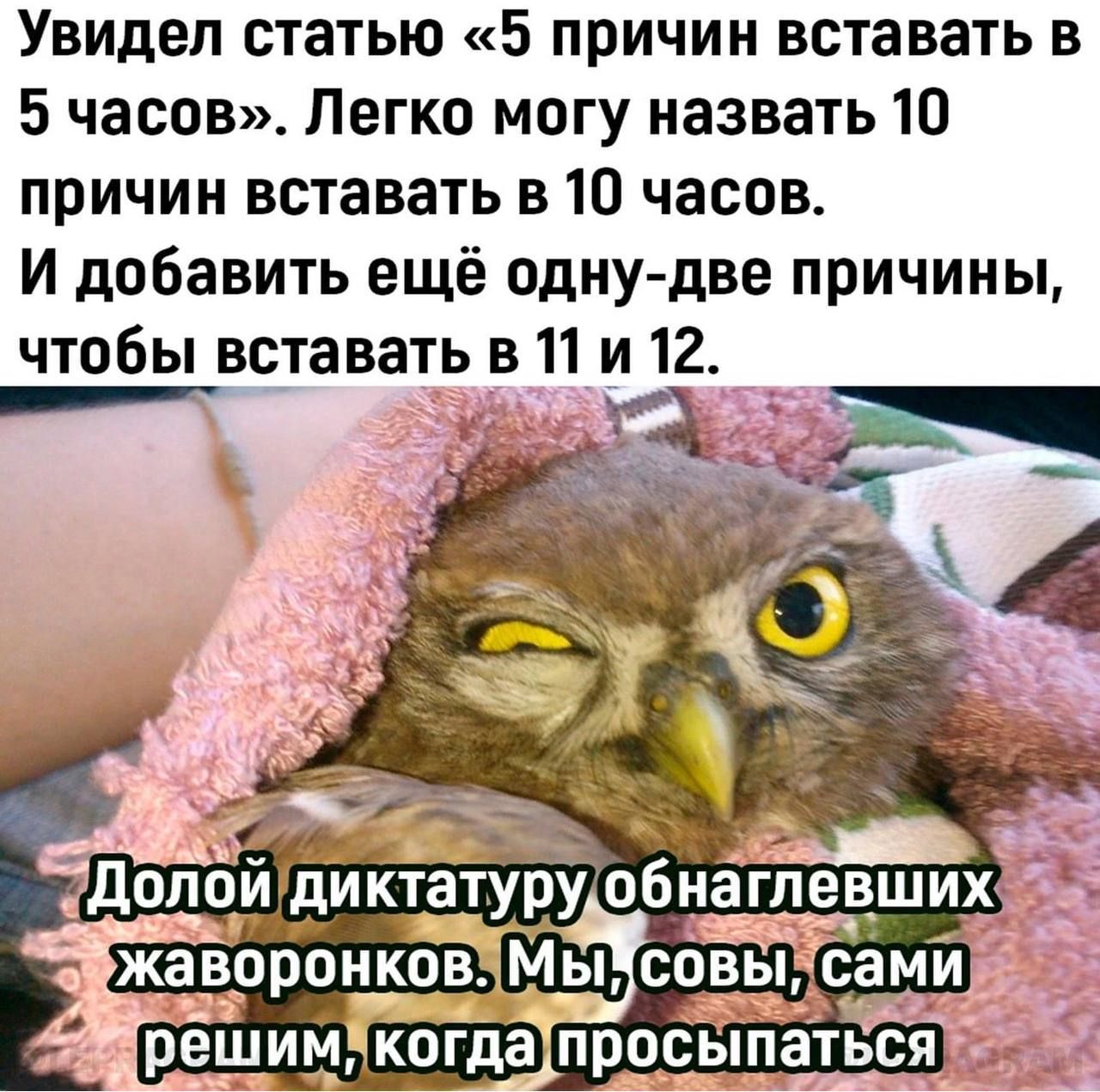 Увидел статью 5 причин вставать в 5 часов Легко могу назвать 10 причин вставать в 10 часов И добавить ещё одну две причины чтобы вставать в 11 и 12 ЖЗВОРОНКОВ шшь сами оак РЕШИМ когдапросыпаться