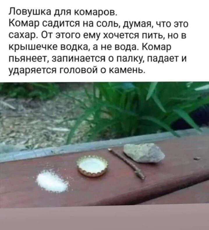 Ловушка для комаров Комар садится на соль думая что это сахар От этого ему хочется пить но в крышечке водка а не вода Комар пьянеет запинается о палку падает и ударяется головой о камень