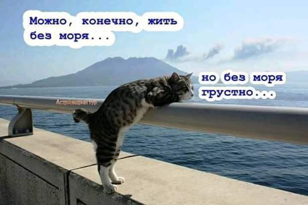 Можно конечно жить без моря но без моря И грустно 77