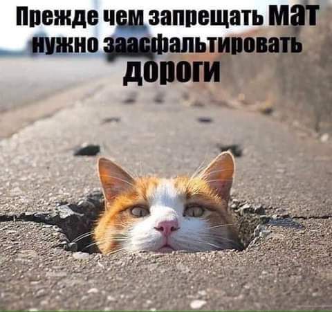 АЙУЖНО альтиро Прежде чем запрещать М ее дороги __1_