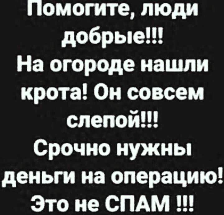 Помогите люди добрые На огороде нашли крота Он совсем слепой Срочно нужны деньги на операцию Это не СПАМ