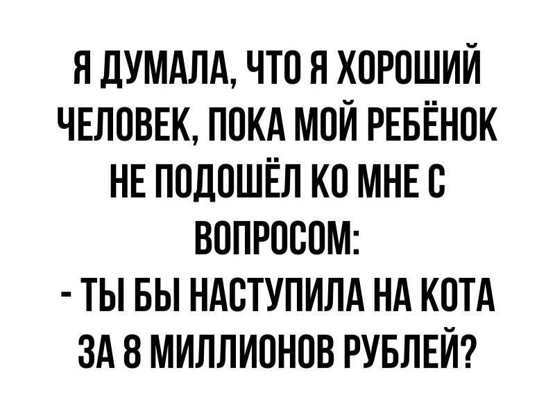 Я ДУМАЛА ЧТО Я ХОРОШИЙ ЧЕЛОВЕК ПОКА МОЙ РЕБЁНОК НЕ ПОДОШЁЛ КО МНЕ С ВОПРОСОМ ТЫ БЫ НАСТУПИЛА НА КОТА ЗА 8 МИЛЛИОНОВ РУБЛЕЙ