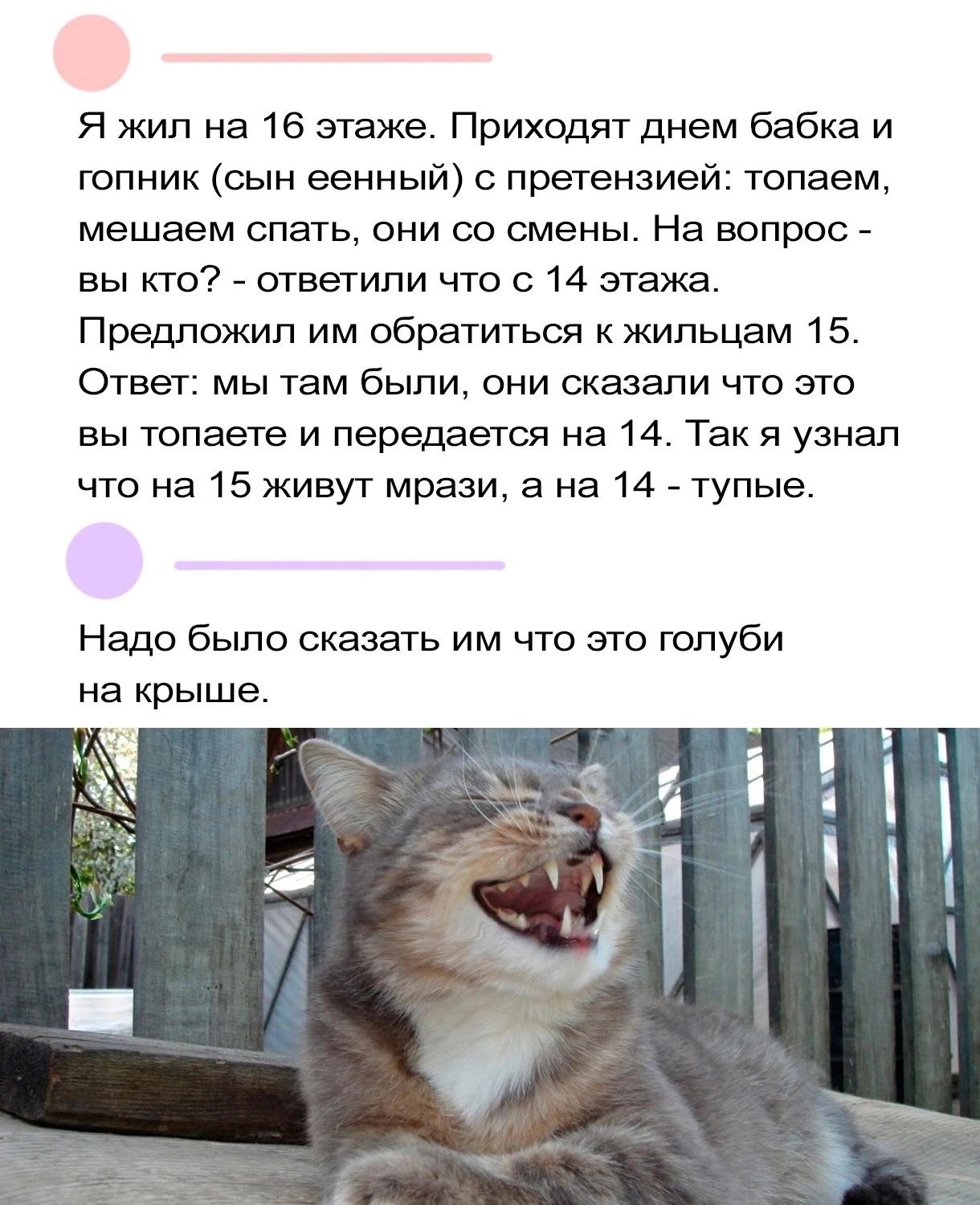 Я жил на 16 этаже Приходят днем бабка и гопник сын еенный с претензией топаем мешаем спать они со смены На вопрос вы кто ответили что с 14 этажа Предложил им обратиться к жильцам 15 Ответ мы там были они сказали что это вы топаете и передается на 14 Так я узнал что на 15 живут мрази а на 14 тупые Надо было сказать им что это голуби на крыше