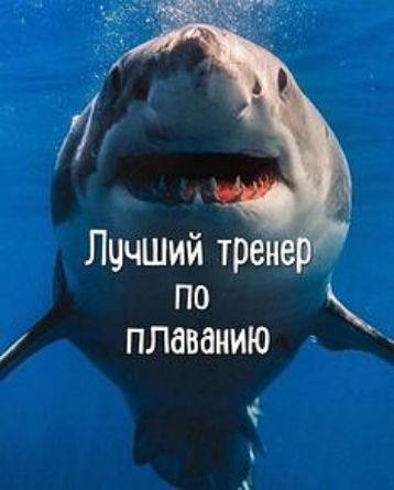 Лучший трен по плаванию