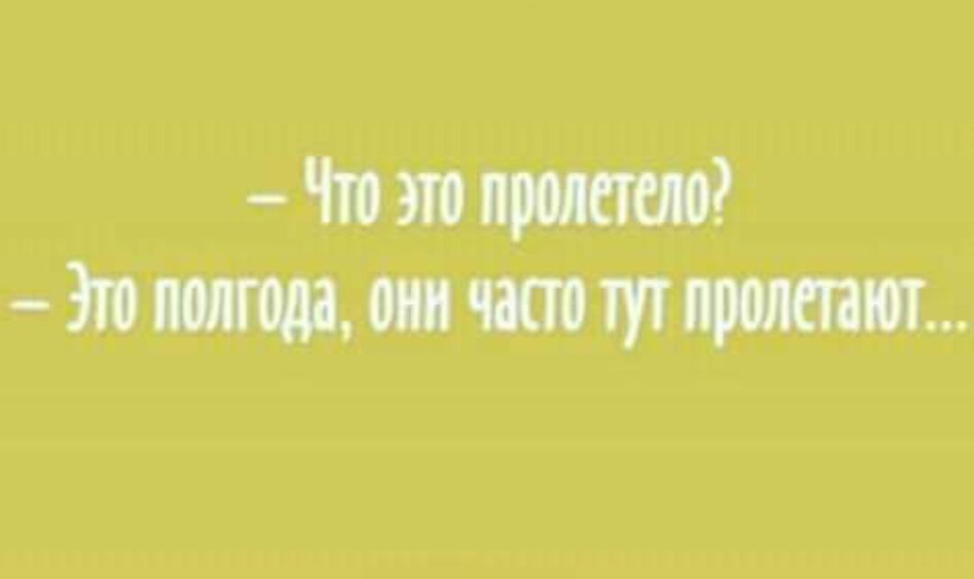 Что это пролетело Это полгода онн часто тут пролетакт