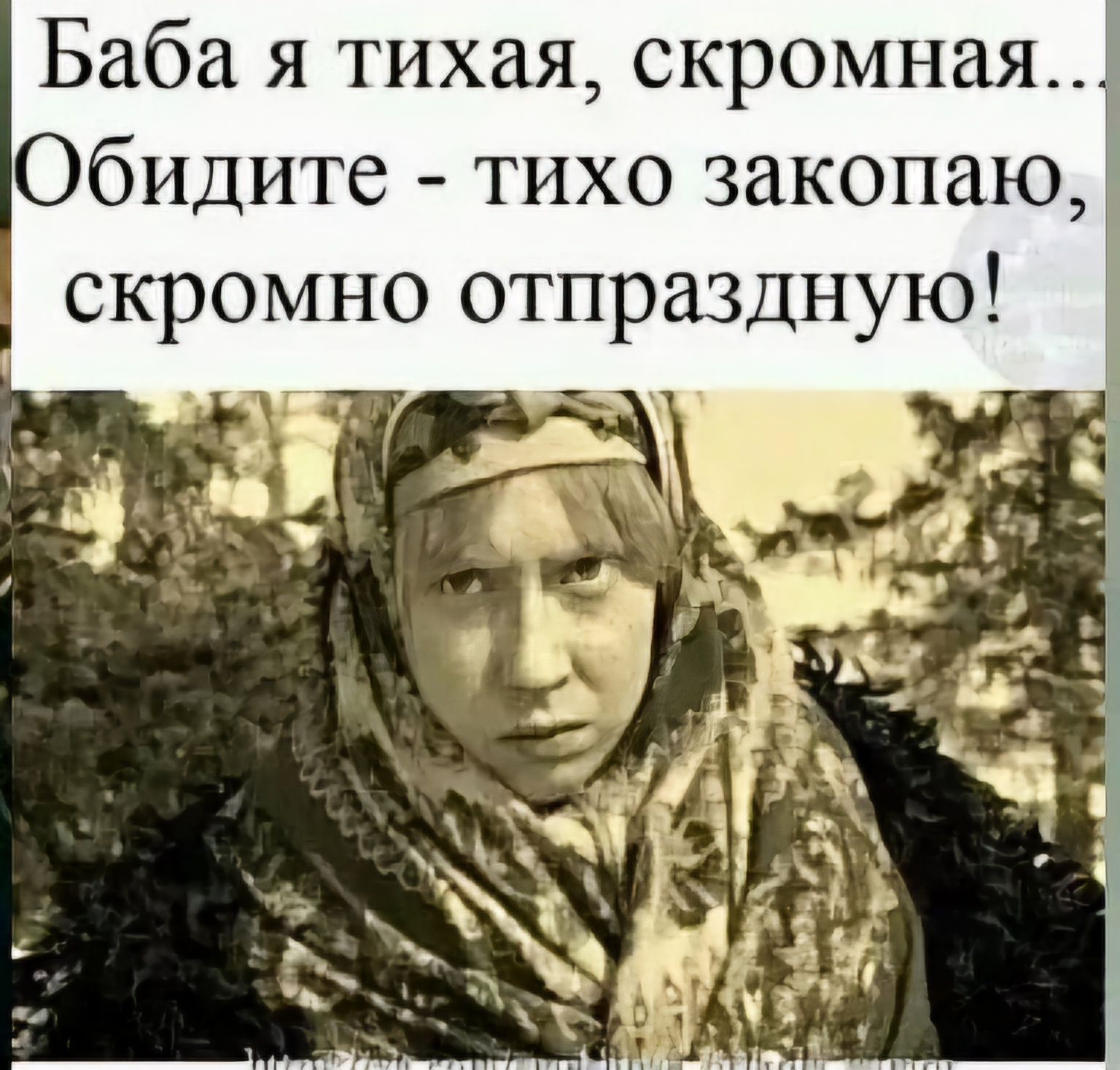 Баба я тихая скромная Обидите тихо закопаю скромно отпраздную