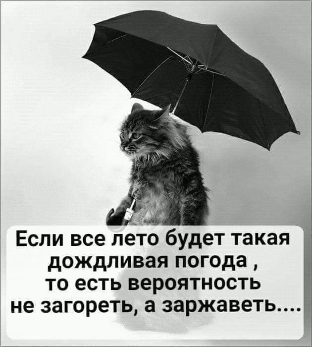 Если все лето будет такая дождливая погода то есть вероятность не загореть а заржавет ь