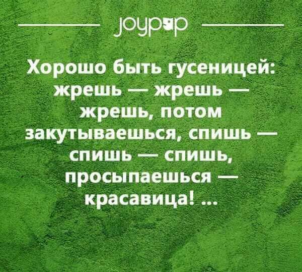 вееоющряр Хорошо быть гусеницей жрешь жрешь жрешь потом закутываешься спишь спишь спишь просыпаешься красавица