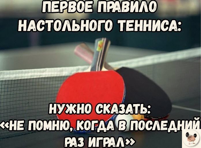 п ПЕРВОЕПРАВИЛО 5 НАСТОЛЬНОГО ТЕННИСА ОЫ ооа НУЖНО СКАЗАТЬ я НЕ ПОМНЮ когмтосдвдъш РАЗ ИГРАЛ