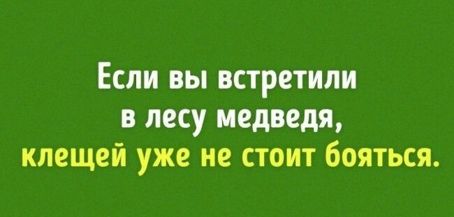 Если вы встретили в лесу медведя клещей уже не стоит бояться