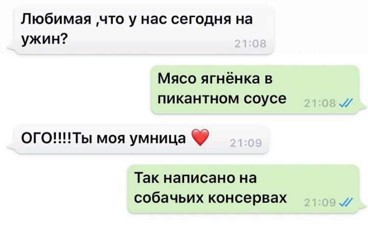 Любимая что у нас сегодня на ужин Мясо ягнёнка в пикантном соусе ОГОНТы моя умница Так написано на собачьих консервах