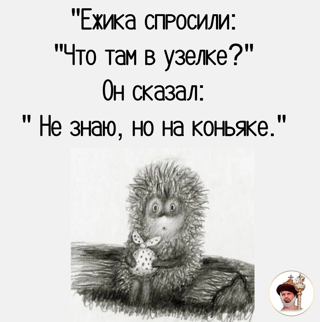 Ехика спРОСИЛИ Что там в узелке Он сказал Не знаю но на коньяке