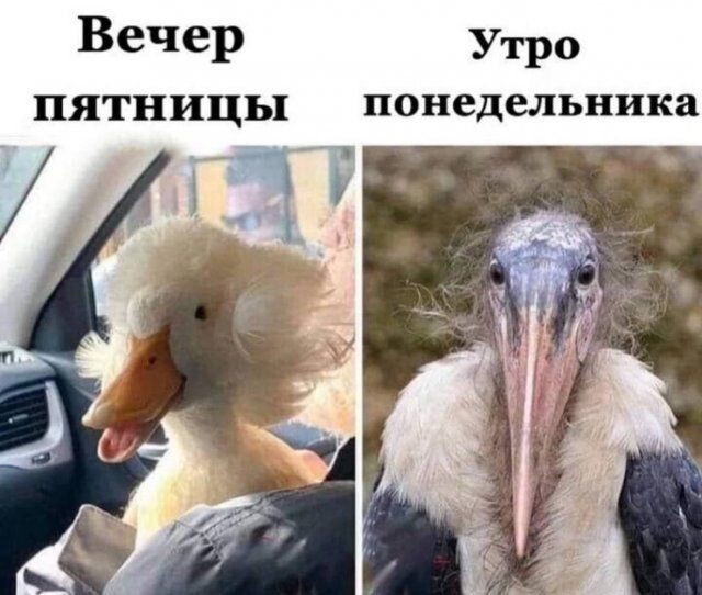 Вечер Утро пятницы понедельника д