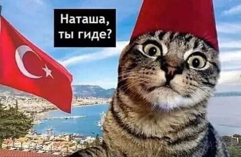 Наташа ты гиде