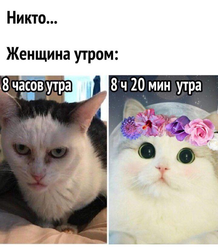 Никто Женщина утром