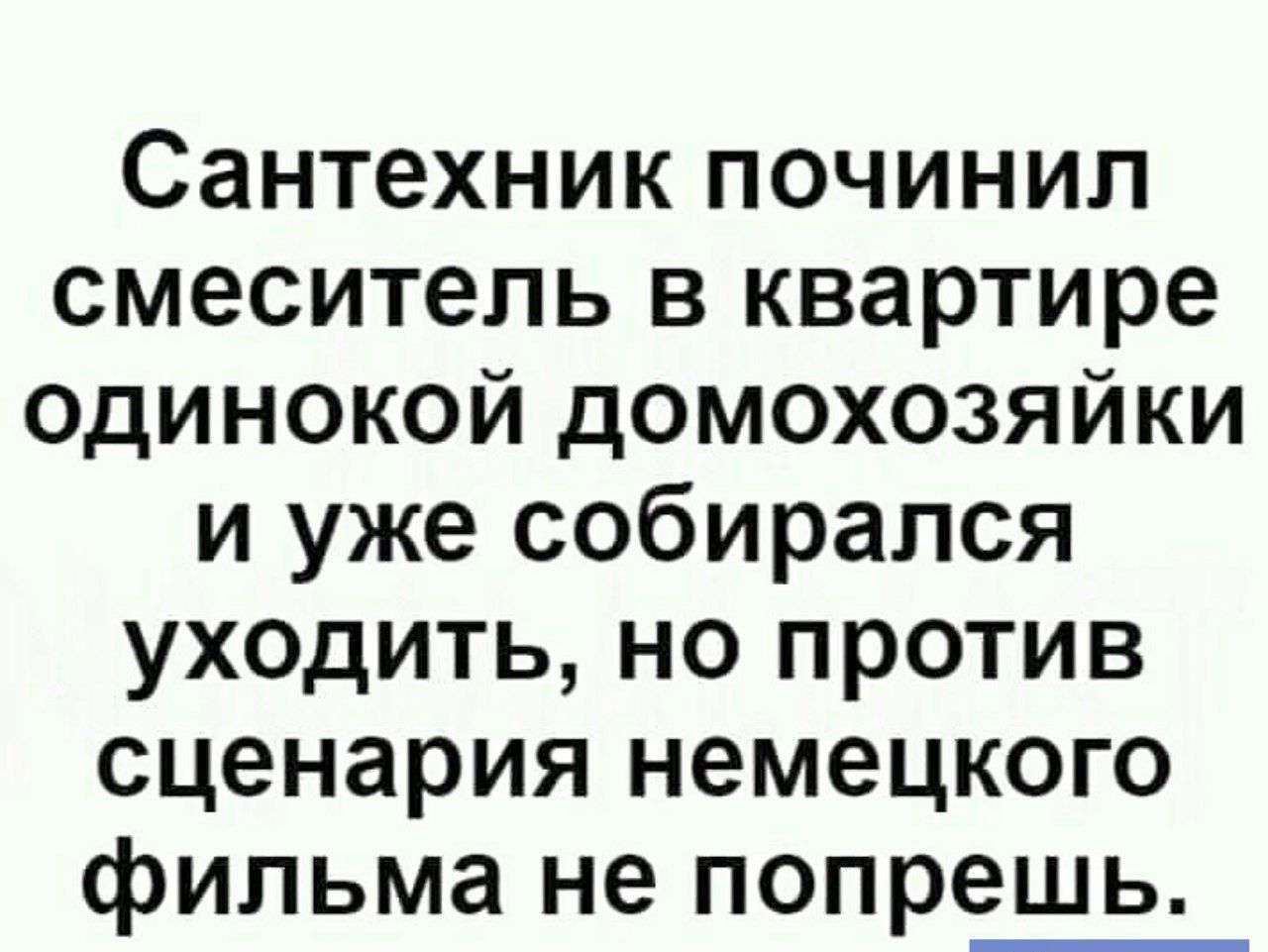 Сантехник починил смеситель в квартире одинокой ДОМОХОЗЯЙКИ и уже собирался уходить но против сценария немецкого фильма не попрешь