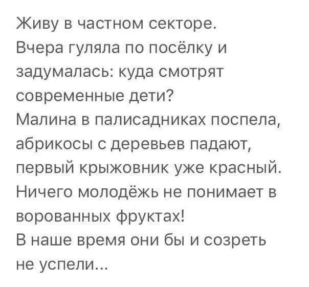 Живу в частном секторе Вчера гуляла по посёлку и задумалась куда смотрят современные дети Малина в палисадниках поспела абрикосы с деревьев падают первый крыжовник уже красный Ничего молодёжь не понимает в ворованных фруктах В наше время они бы и созреть не успели