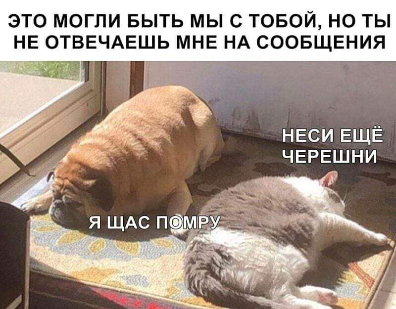 ЭТО МОГЛИ БЫТЬ МЫ С ТОБОЙ НО ТЫ НЕ ОТВЕЧАЕШЬ МНЕ НА СООБЩЕНИЯ НЕСИ ЕЩЁ ЧЕРЕШНИ Я ЩАС ПМР об