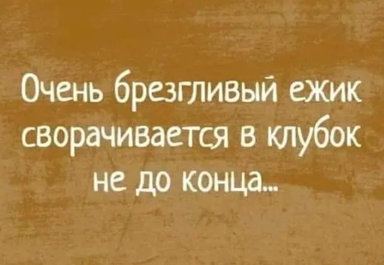 Очень брезгливый ежик сворачивается в клубок не до конца