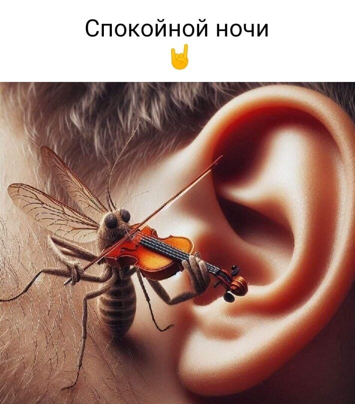 Спокойной ночи